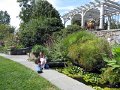 IMG_9888b
