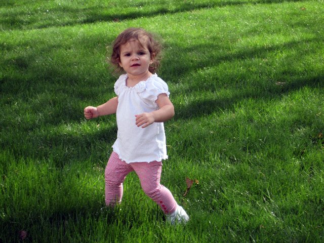 IMG_0683b.jpg -                                