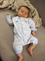 IMG_1236b