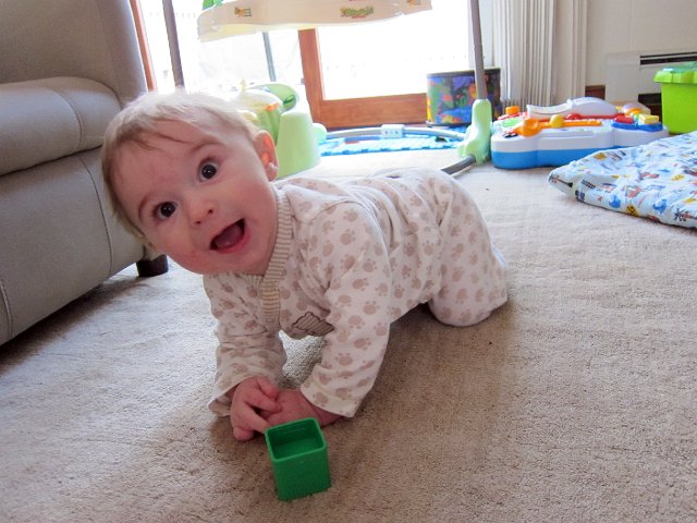 IMG_2664b.jpg - He's UP and it's only a matter of time before he figures out how to move forward, oh my!