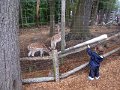 IMG_0857b