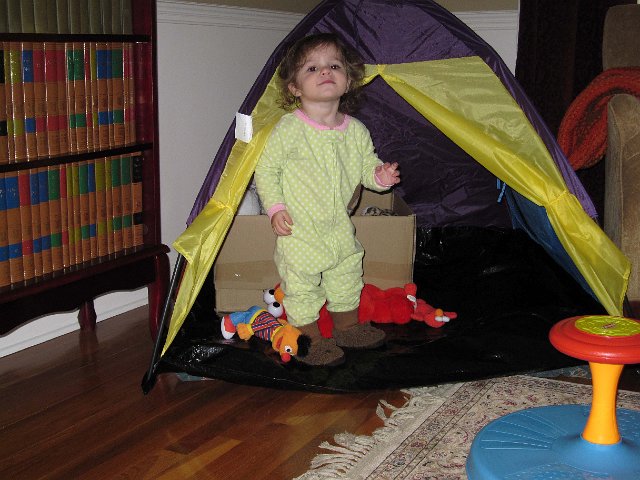 IMG_0470b.jpg -                                