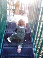 IMG_0537b