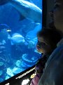 IMG_1113b