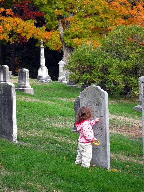 IMG_2394b.jpg - Our little girl is obsessed with letters and found a new and different place where she could explore them.