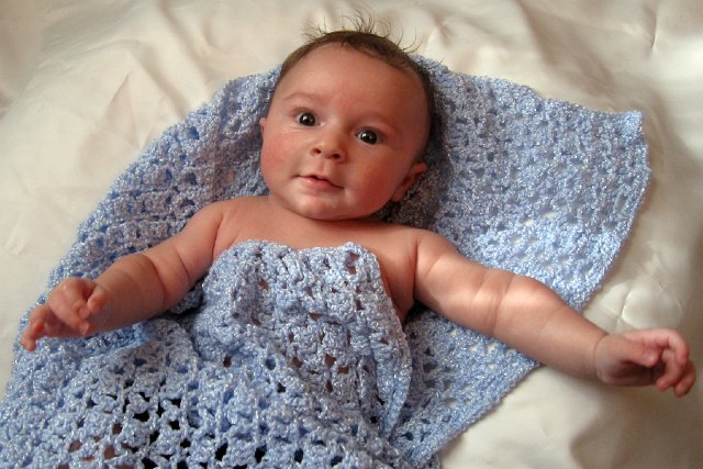 IMG_1427b.jpg - He looks as though he was simply dropped from the heavens above.