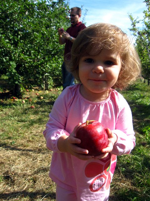 IMG_1481b.jpg -                                