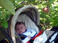 IMG_1504b