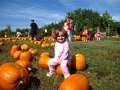 IMG_1540b