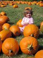 IMG_2289b