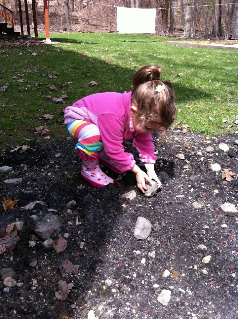 IMG_0692b.jpg - Gotta love it when you can convince the kids that yard work is a game.  "Let's put the big rocks in the bucket .."