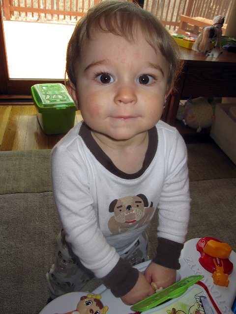 IMG_3465b.jpg - Nathan has just discovered that the Cheerio stash has been replenished, yum.
