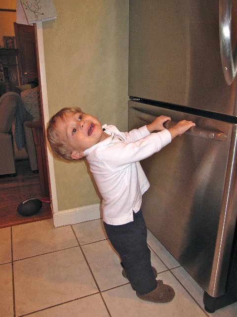 IMG_7545.jpg - He thinks he's strong enough to pull open the freezer drawer and get what he wants.  With the help of his sister, they can actually get the drawer open ... yikes!