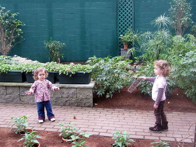 IMG_2916b.jpg - Catherine sees another one and Abigail is checking the different kinds of butterflies from the list .. what a team!