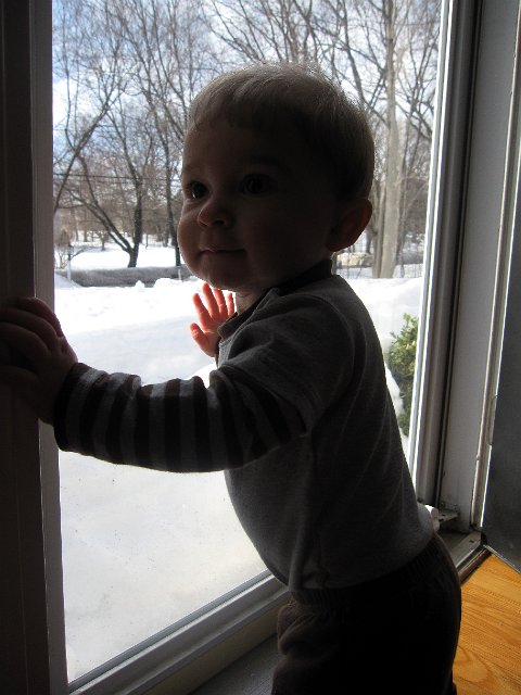 IMG_3005b.jpg - "Is it time to go out and play yet, Mom??"