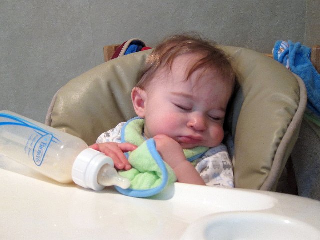 IMG_3030b.jpg - such a tough life...