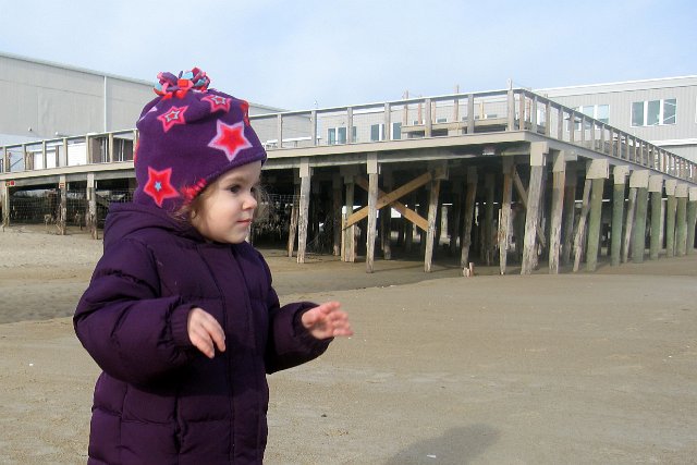 IMG_2441b.JPG - You can tell by the look on her face, she has spotted the water and is putting a plan together ..