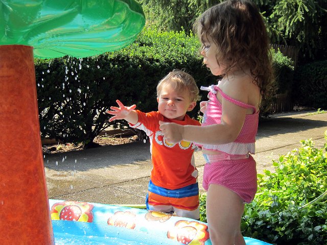 IMG_3554b.jpg -                                