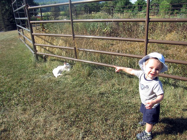 IMG_4522b.jpg - ... farm explorations ...