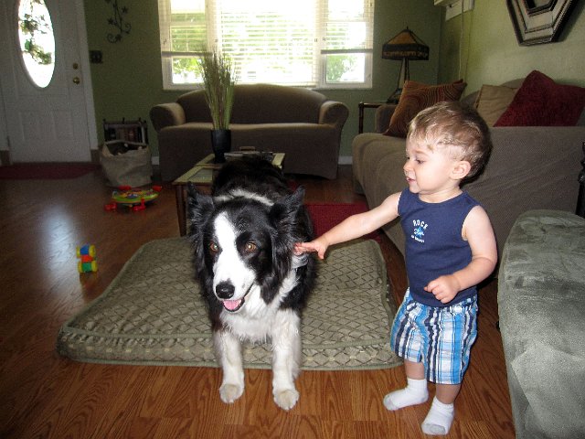 IMG_5003b.jpg - And now our trip takes us to OH, where the kids are reunited or introduced to more relatives .. Nathan saying Hello to Megan (one of Aunt Marty's beloved dogs).