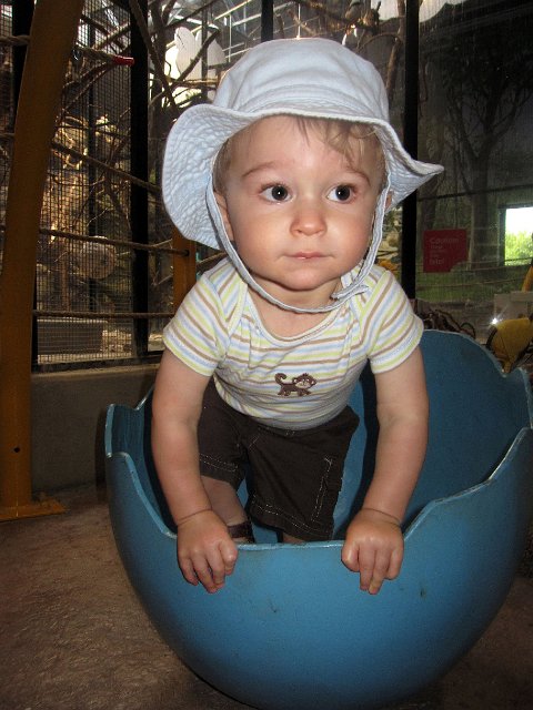 IMG_5109b.jpg -                                
