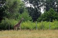 IMG_3644b