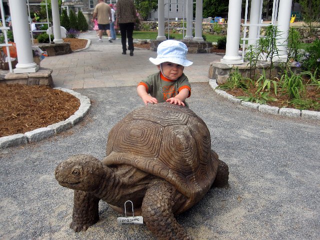 IMG_3992b.jpg - We attended the Grand Opening of The Children's Garden, an awesome tribute to a former kindergarten teacher at a nearby church.  Nathan was saying hello to the tortoise, Lonesome George.