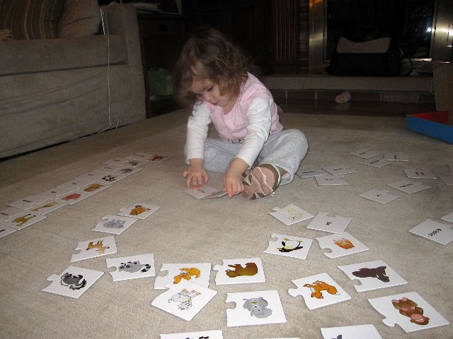 IMG_3219b.jpg - Catherine is stepping up her puzzle skills by advancing to a jigsaw puzzle (vs. the wooden cutouts).  The gal loves puzzles AND any new challenges!