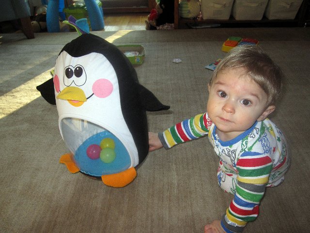 IMG_3246b.jpg - Mr. Penguin has found a new pal.  Or, should we say Nathan has found something new to tackle.