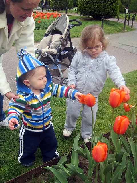 IMG_3355b.jpg -                                