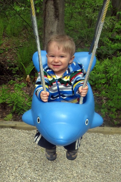 IMG_3784b.jpg - This play set is a hit!!  Nathan loves to swing too.
