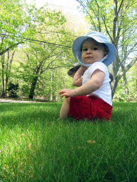 IMG_3873b.jpg - Nathan wants to go exploring .. "Have lovie, will travel".
