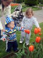 IMG_3355b