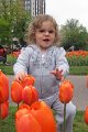 IMG_3735b