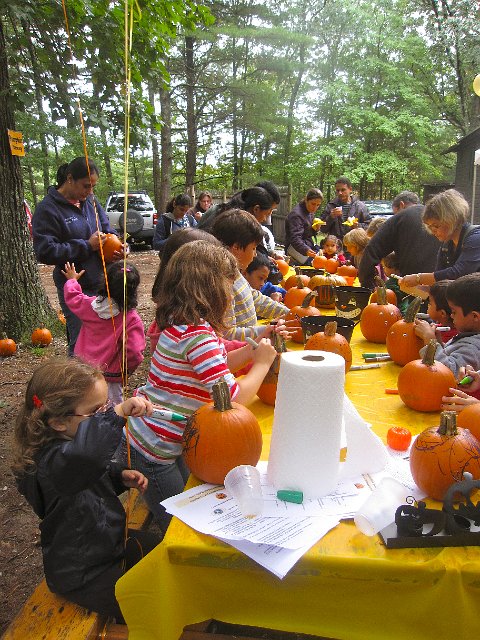 IMG_6402.jpg - Some pumpkin painting ...