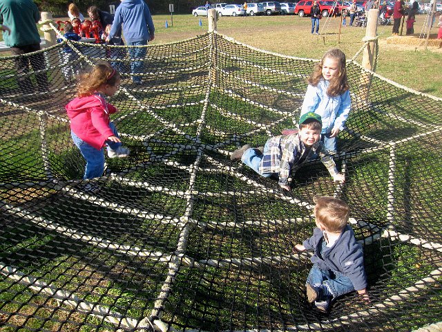 IMG_6494.JPG - Our little spiders were busy crawling ...