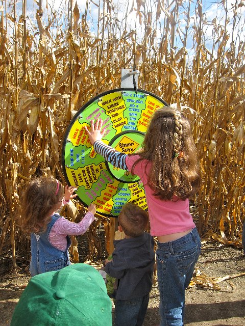IMG_6559.jpg - There was a Simon Says kiddie corn maze  where we had to perform certain tasks as a group to find the next wheel and eventually our way out of the maze.