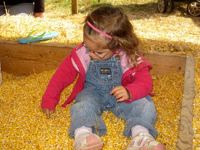IMG_6649.JPG - Wow!  Is that a sand box made with corn kernels??