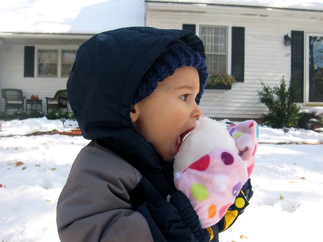 IMG_6807.JPG - Exploring all that this new weather has to offer him!