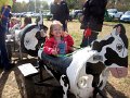 IMG_6571