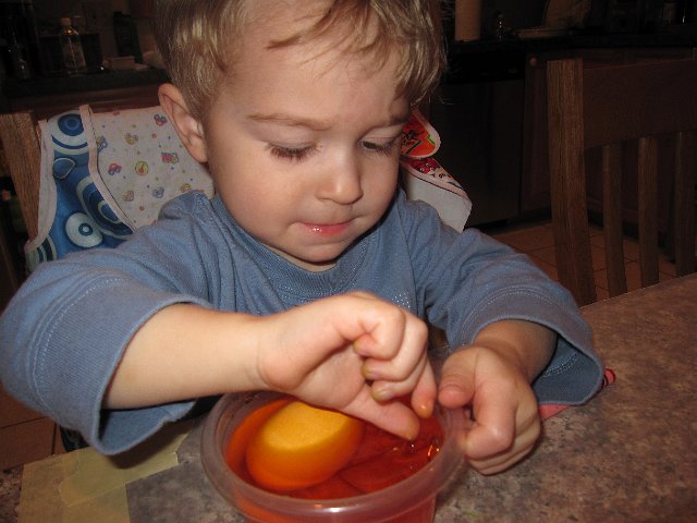 IMG_8907.jpg