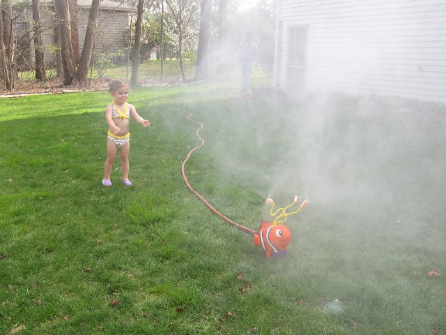 IMG_9064.jpg - And the sprinkler is even out and in operation already!