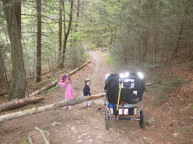 IMG_9325.jpg - Well, we've found our first real challenge (aside from the rocky and root-covered trail).
