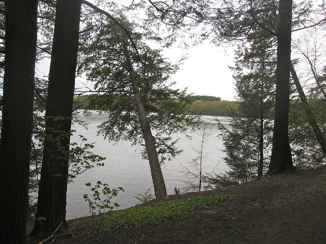 IMG_9328.jpg