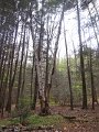 IMG_9323