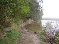 IMG_9329