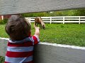 IMG_0803