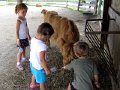 IMG_1647