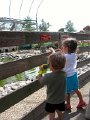 IMG_1649