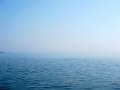 IMG_4476